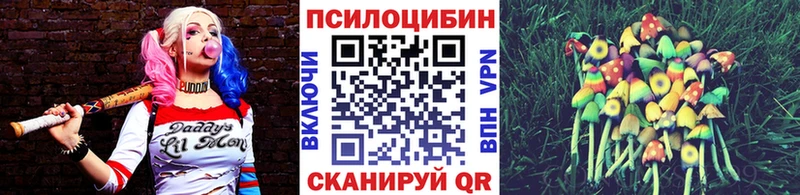 Галлюциногенные грибы MAGIC MUSHROOMS  Бакал 