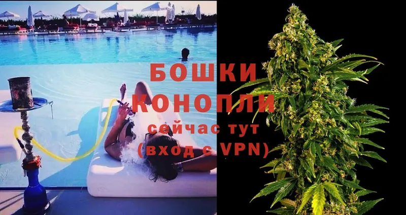 Бошки Шишки OG Kush  купить наркотики сайты  hydra как зайти  Бакал 